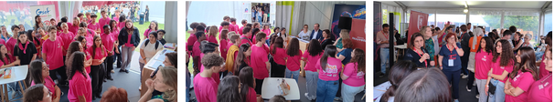 attestation bénévolat nouveau festival