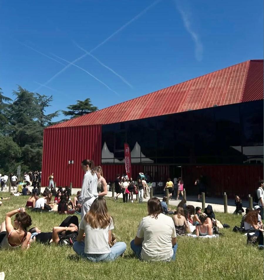 groupe bénévolat nouveau festival
